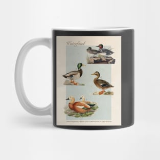 Duck Vintage-Inspired Encyclopedia Page Mug